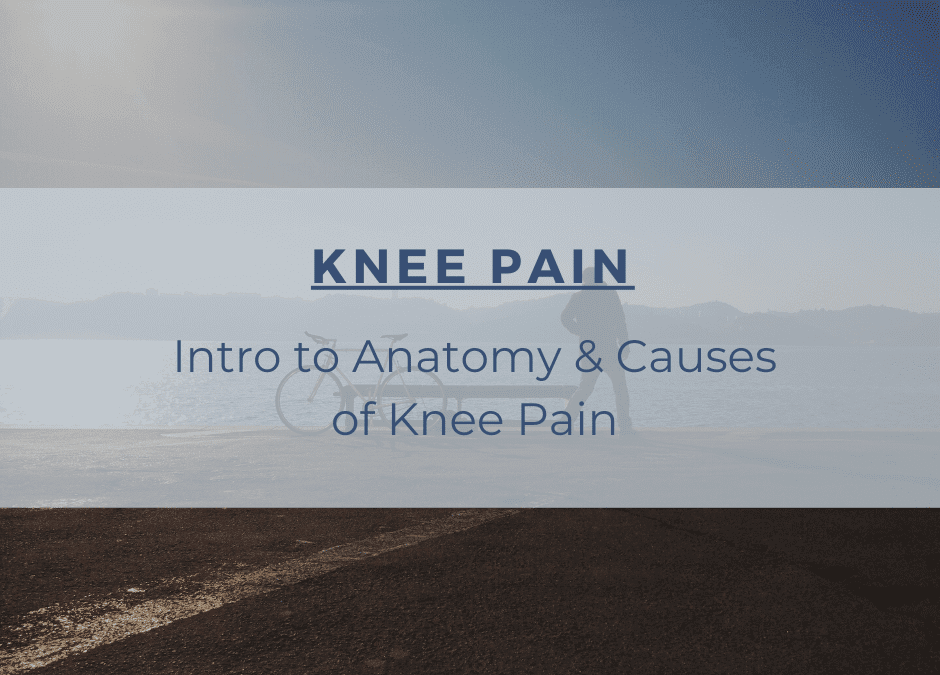 Knee Pain: Intro to the Anatomy & Causes of Knee Pain