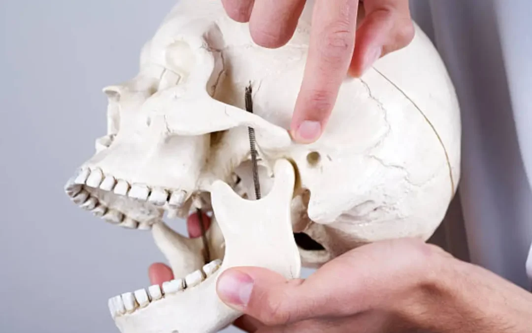 TMJ Pain Relief: How Physical Therapy Can Help You Stop Jaw Clenching and Grinding